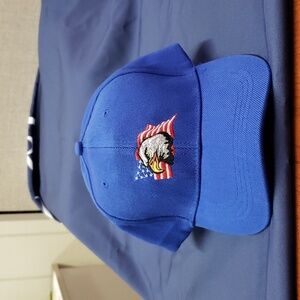 American Flag and Eagle Ballcap in Blue